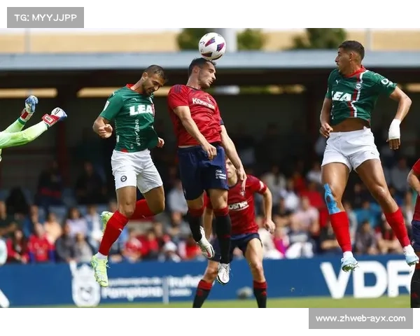 奥萨苏纳主场球迷营造热烈氛围，为保级战注入能量